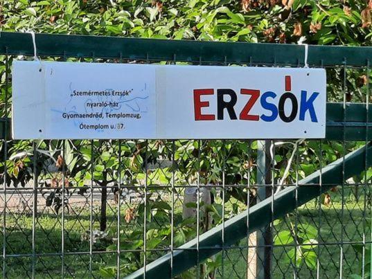 Szemérmetes Erzsók Nyaralóház Villa Gyomaendrőd Exterior foto